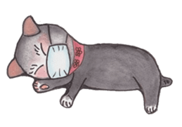 Happy cat with friend's sticker #5660337