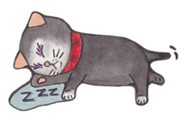 Happy cat with friend's sticker #5660338