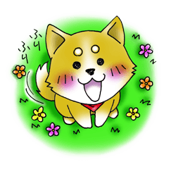Sticker of cute puppy of Japanese dog