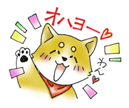 Sticker of cute puppy of Japanese dog sticker #5660411