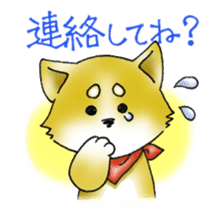 Sticker of cute puppy of Japanese dog sticker #5660416