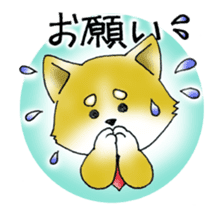 Sticker of cute puppy of Japanese dog sticker #5660438