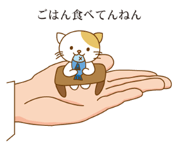 Cat riding a hand sticker #5661888