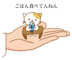 Cat riding a hand sticker #5661888