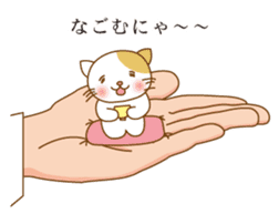 Cat riding a hand sticker #5661910