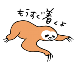 Baby of the animal sticker #5663595