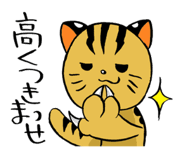 japanese cat "tushimayamaneko" sticker #5665050