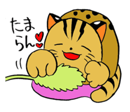 japanese cat "tushimayamaneko" sticker #5665067