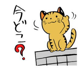 japanese cat "tushimayamaneko" sticker #5665072