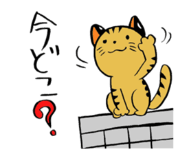 japanese cat "tushimayamaneko" sticker #5665072
