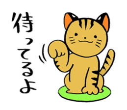 japanese cat "tushimayamaneko" sticker #5665073