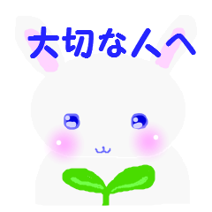 I am a pretty rabbit2.