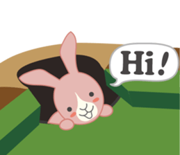 Paula Billiards sticker #5672977