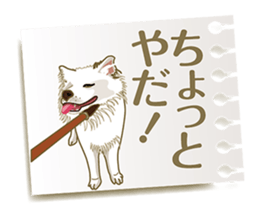 Tag of a dog sticker #5675165