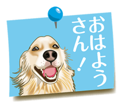 Tag of a dog sticker #5675168