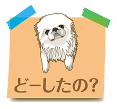 Tag of a dog sticker #5675170