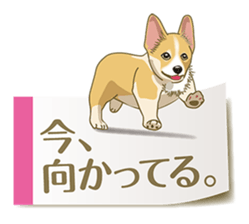 Tag of a dog sticker #5675173