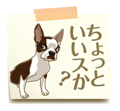 Tag of a dog sticker #5675174