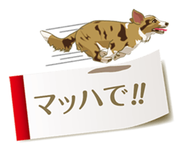 Tag of a dog sticker #5675175