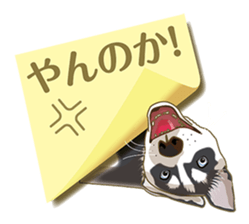 Tag of a dog sticker #5675178