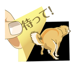 Tag of a dog sticker #5675180