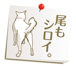 Tag of a dog sticker #5675181