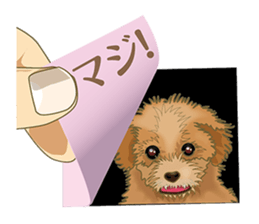 Tag of a dog sticker #5675189