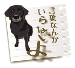 Tag of a dog sticker #5675190