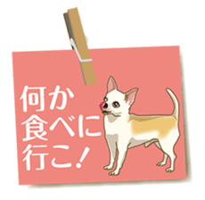 Tag of a dog sticker #5675191