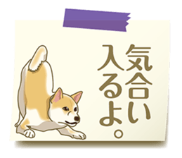 Tag of a dog sticker #5675194