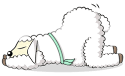 Zoo Zaa (English version) sticker #5675753