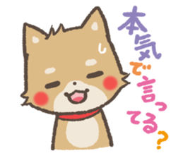 mild-Shiba-Inu Vol.2 sticker #5679398