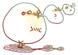 chichichi sticker #5679428