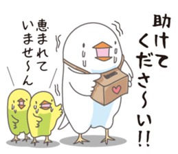Little birds who speaks Japanese. sticker #5680089