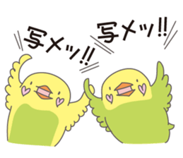 Little birds who speaks Japanese. sticker #5680096