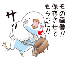 Little birds who speaks Japanese. sticker #5680120