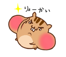 so cute squirrel sticker sticker #5680621