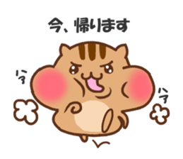 so cute squirrel sticker sticker #5680625