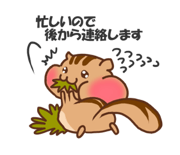 so cute squirrel sticker sticker #5680630