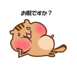 so cute squirrel sticker sticker #5680631