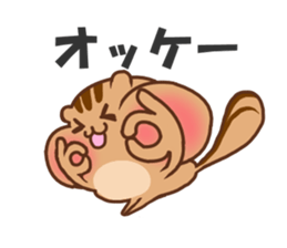 so cute squirrel sticker sticker #5680637