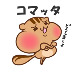 so cute squirrel sticker sticker #5680639