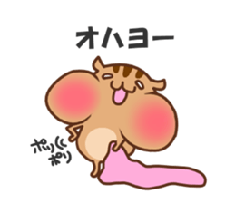 so cute squirrel sticker sticker #5680649