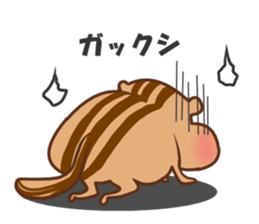 so cute squirrel sticker sticker #5680655