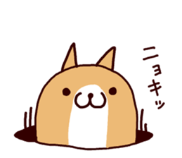 lazy shiba vol.3 sticker #5681443