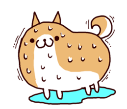 lazy shiba vol.3 sticker #5681470