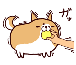 lazy shiba vol.3 sticker #5681473