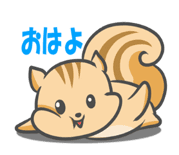 Funny squirrel sticker #5681996