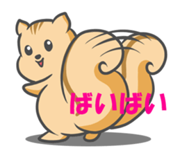 Funny squirrel sticker #5681997