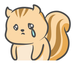 Funny squirrel sticker #5682006